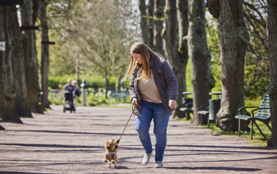 how-perceptions-and-experiences-of-obesity-differs-in-different-countries